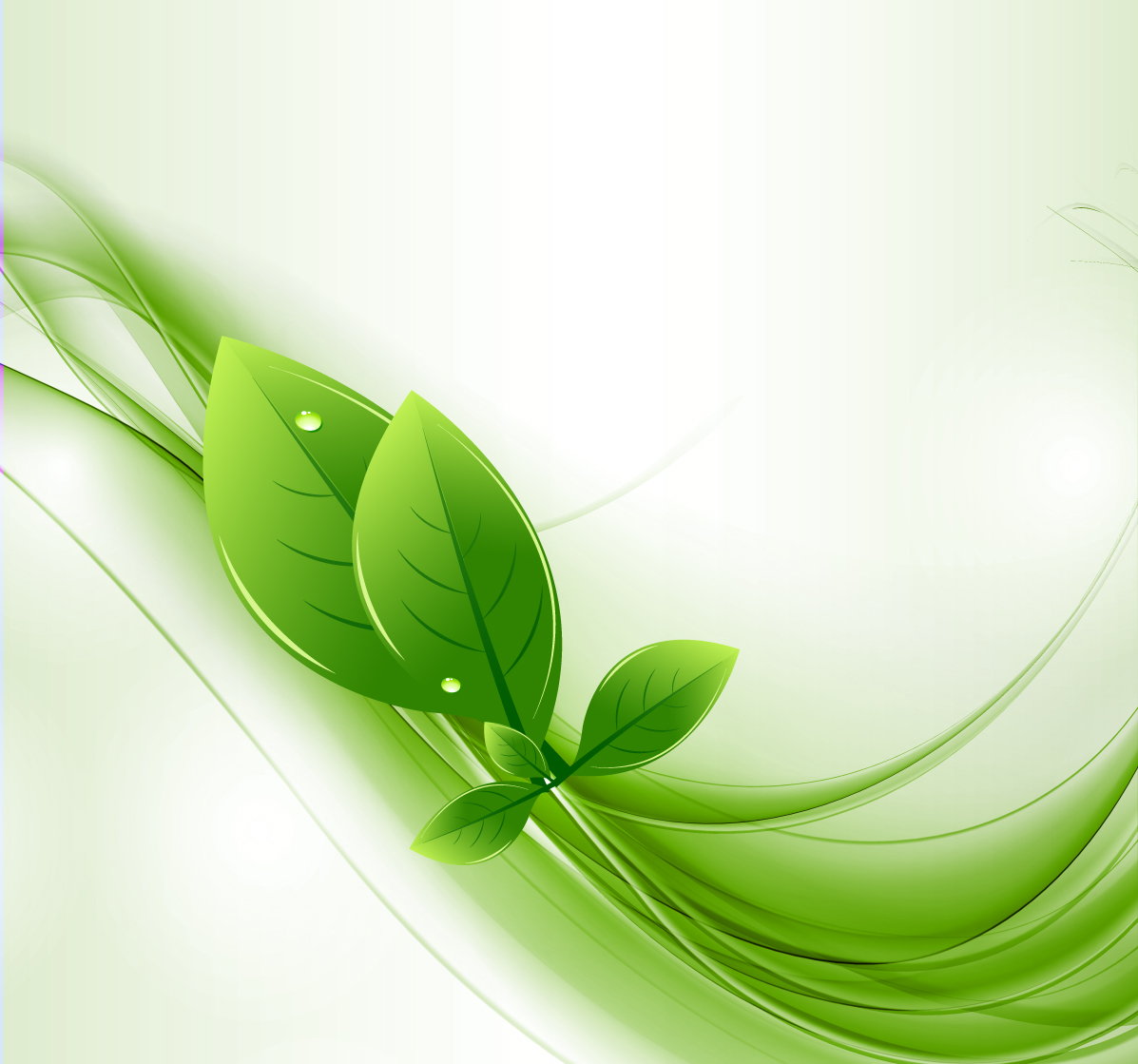 Green Eco-Leaf Vector Image