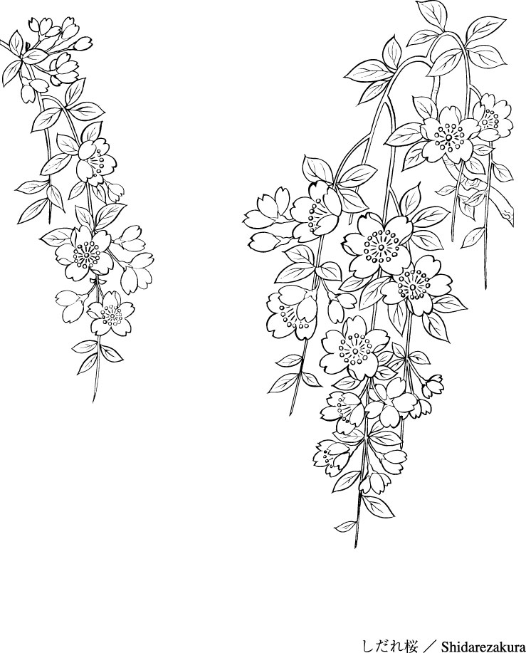 Japanese Flower Line Drawing