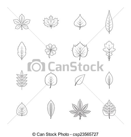 Leaf Line Drawing Clip Art