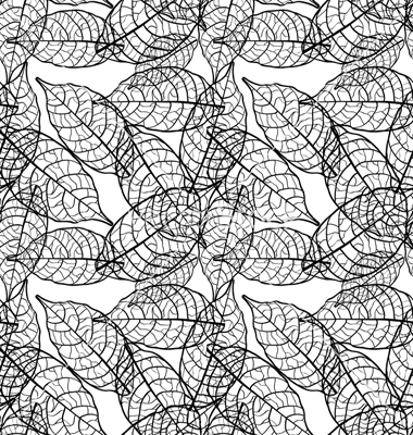 Leaf Line Vector