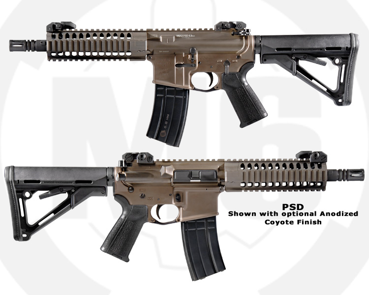 11 PSD Assault Rifle Images