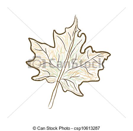 Maple Leaf Line Drawing