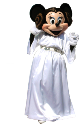 Minnie Mouse Princess