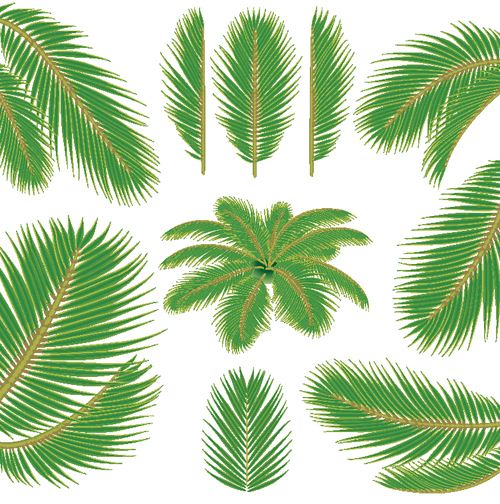 Palm Leaf Vector Free