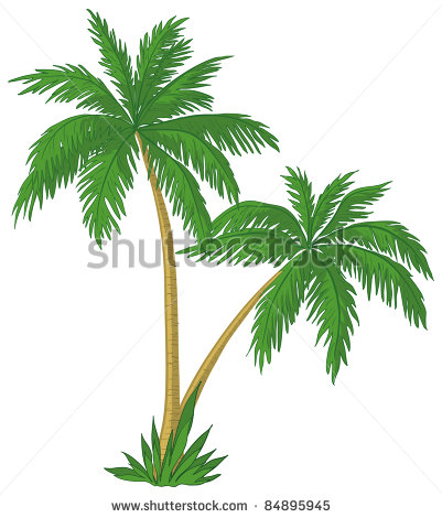 Palm Tree Vector