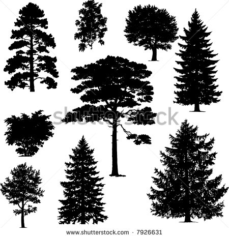 Pine Tree Silhouette Vector