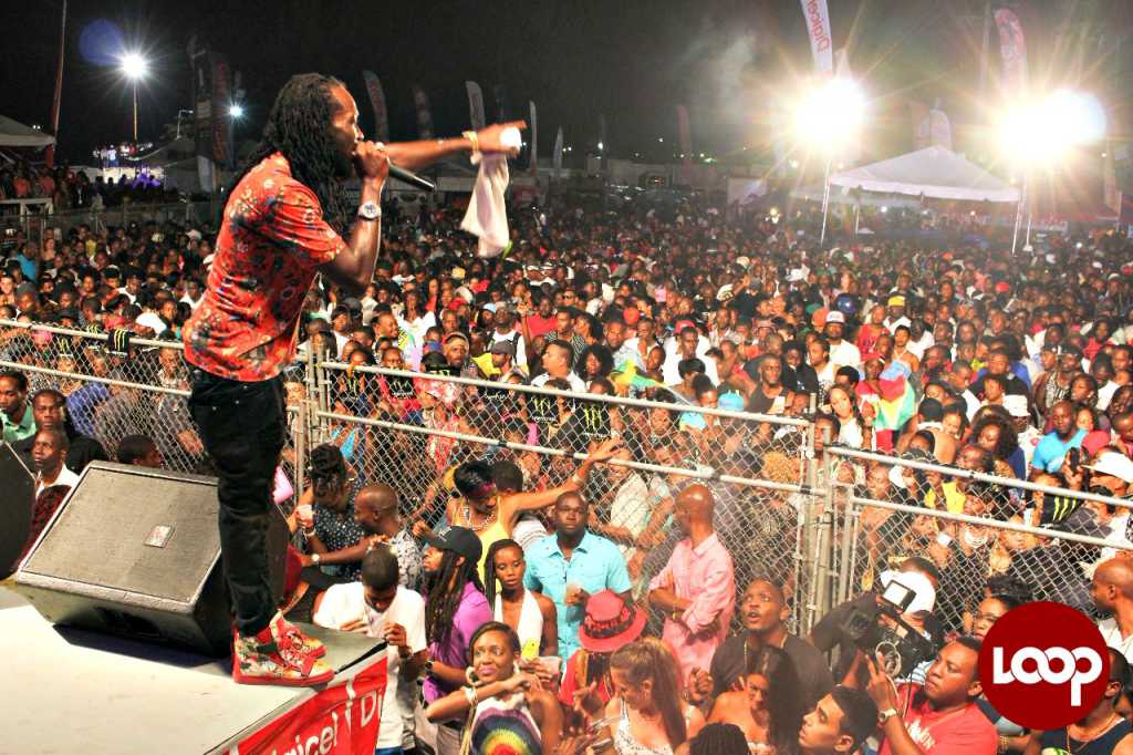 Reggae Concert Crowd