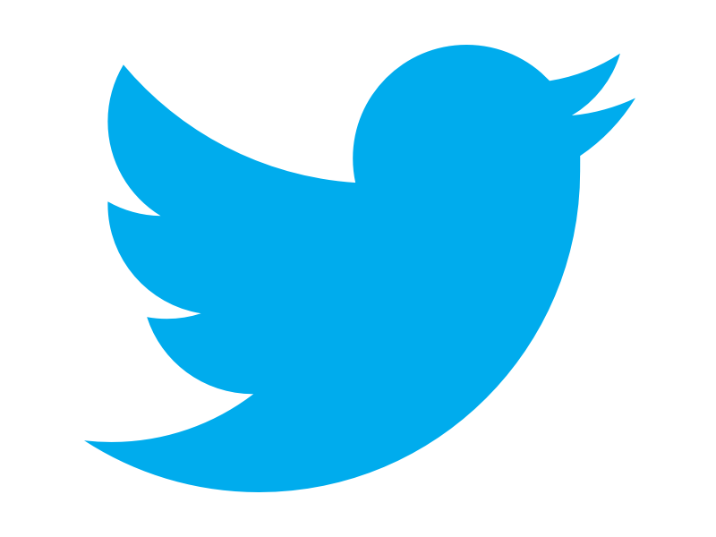 Small Twitter Bird Icon