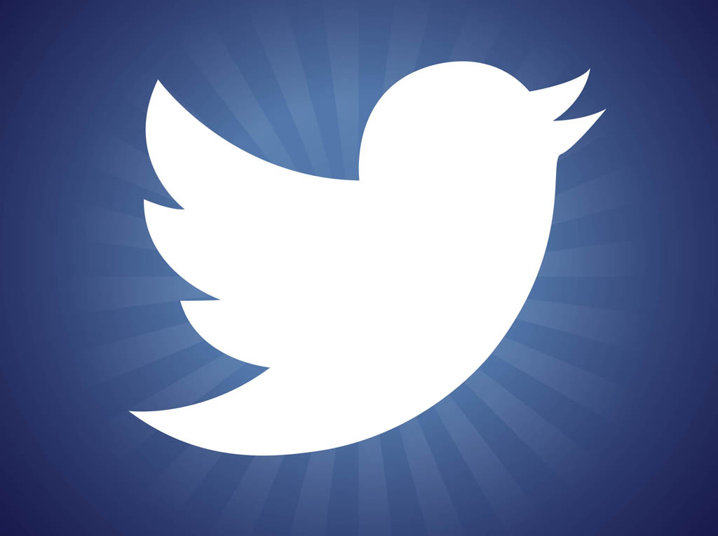 Twitter Bird Logo Vector