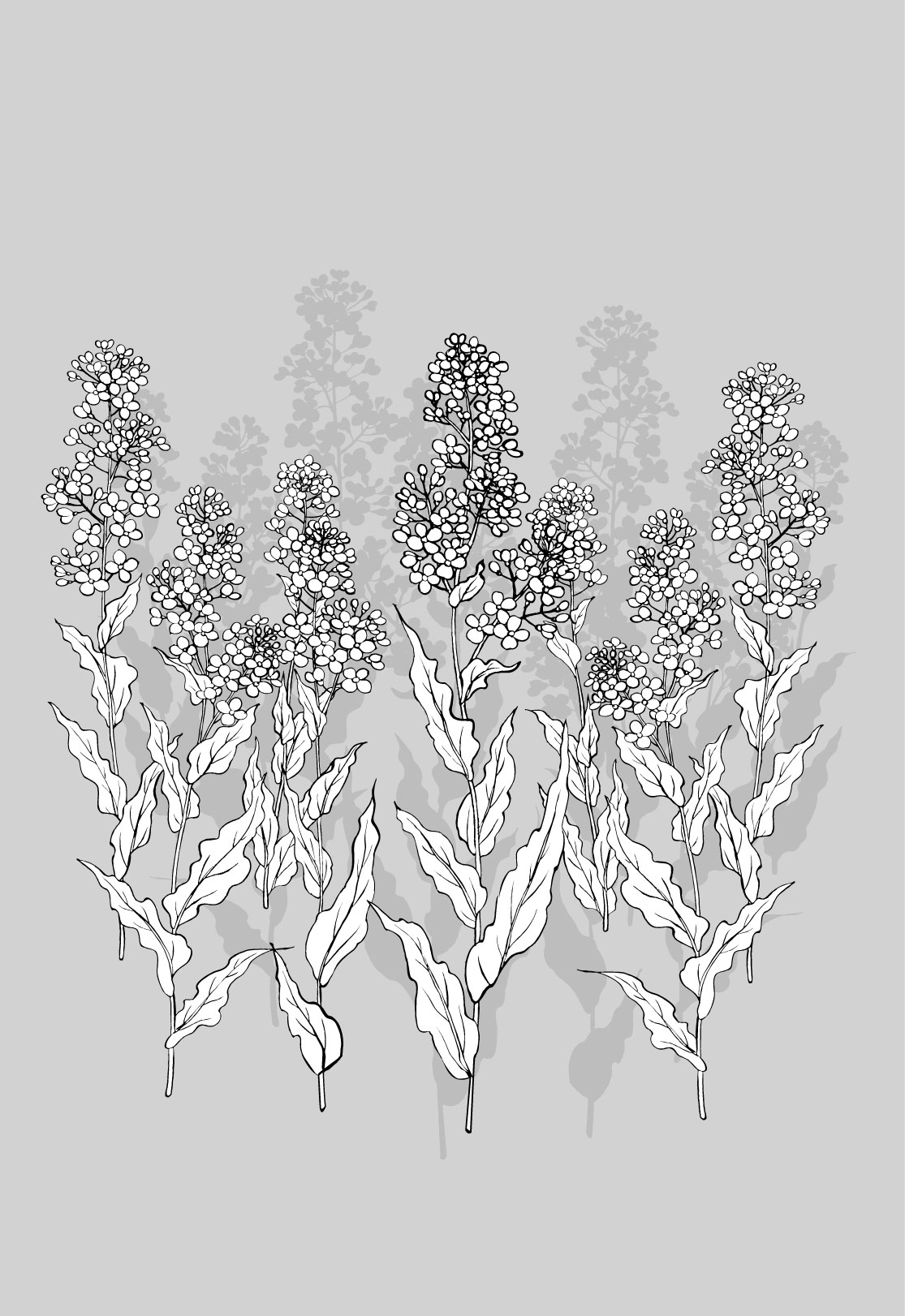 Vector Flower Line Drawing