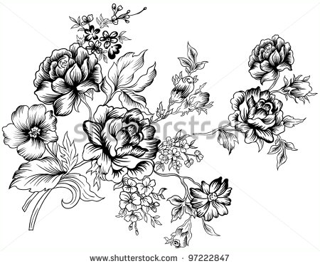 Vector Flower Line Drawing