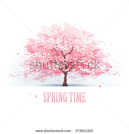 Beautiful Cherry Blossom Tree