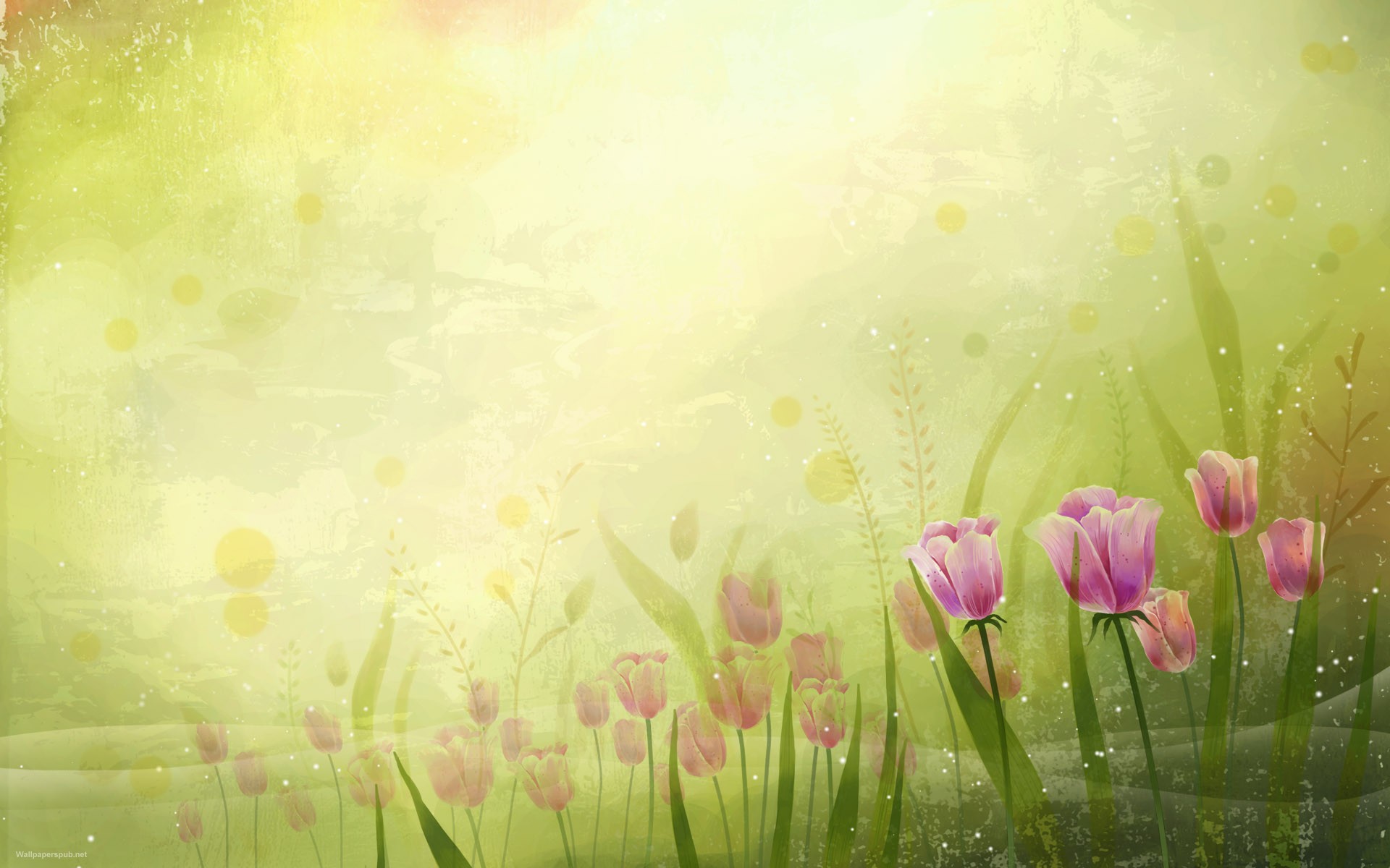 Beautiful Flowers Desktop Wallpapers and Backgrounds Beautiful Flowers Desktop Wallpapers and Backgrounds