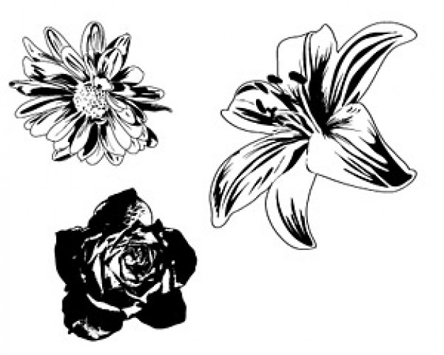 Black and White Flower Vector Free