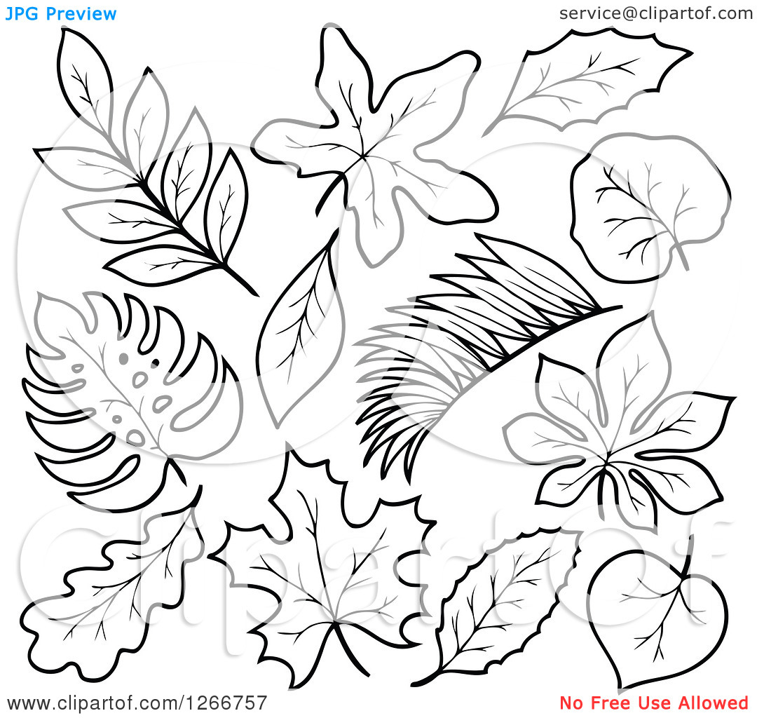 free black and white clip art leaves - photo #37