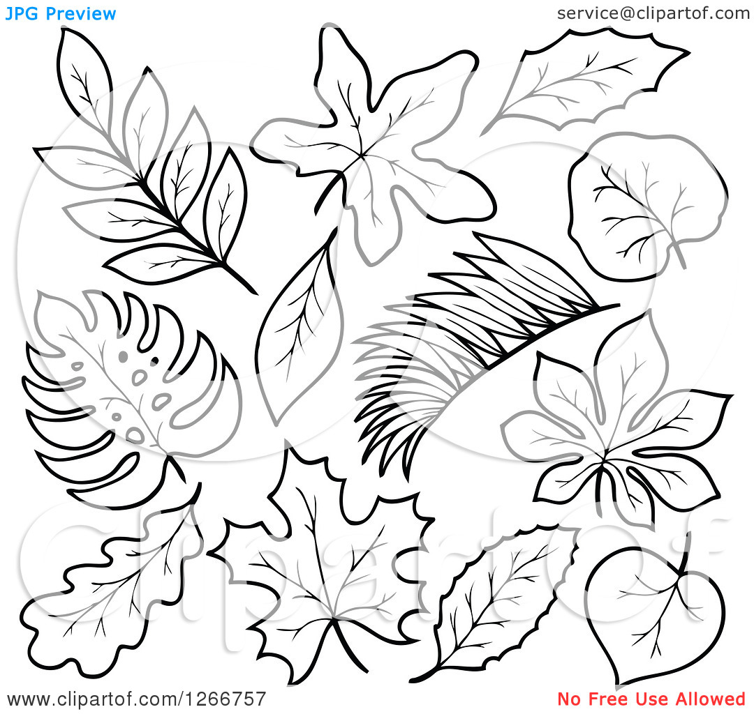 Black and White Leaf Clip Art Free