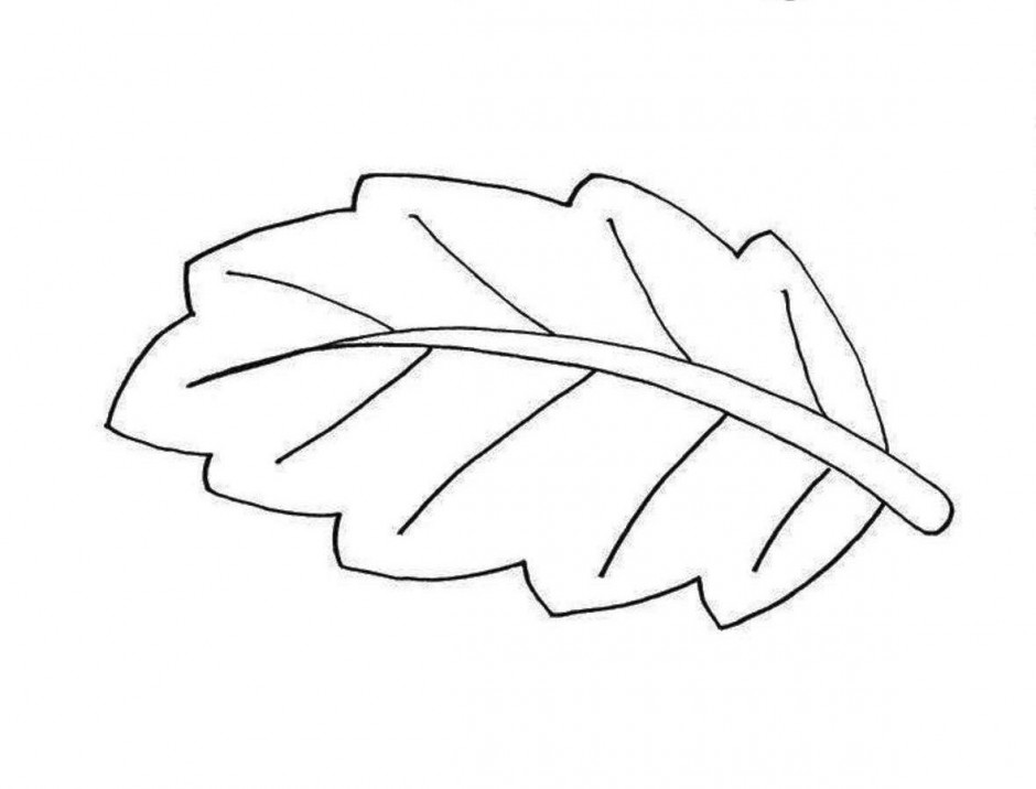 Black and White Leaves Clip Art