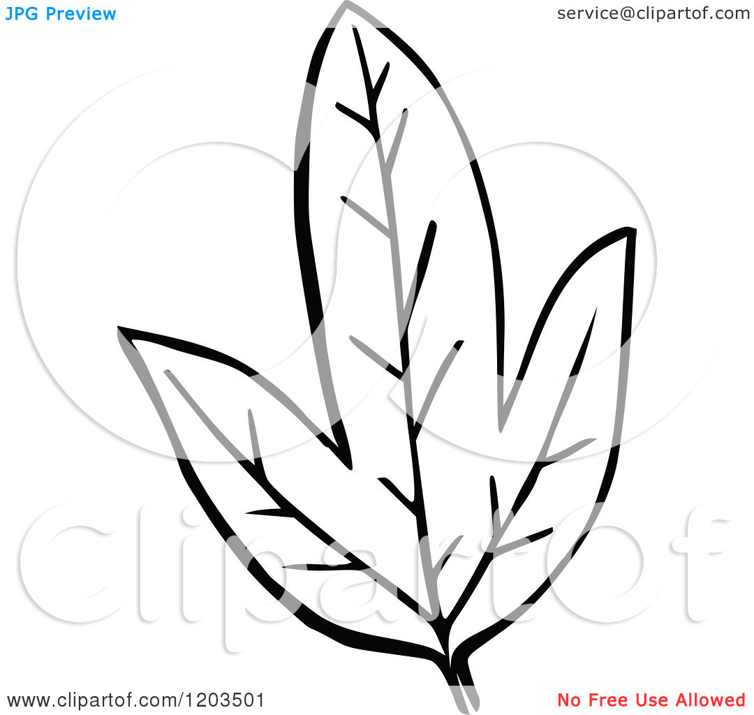 Black and White Leaves Clip Art