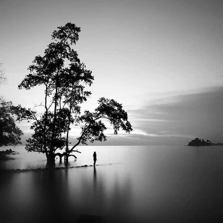Black and White Photography Nature