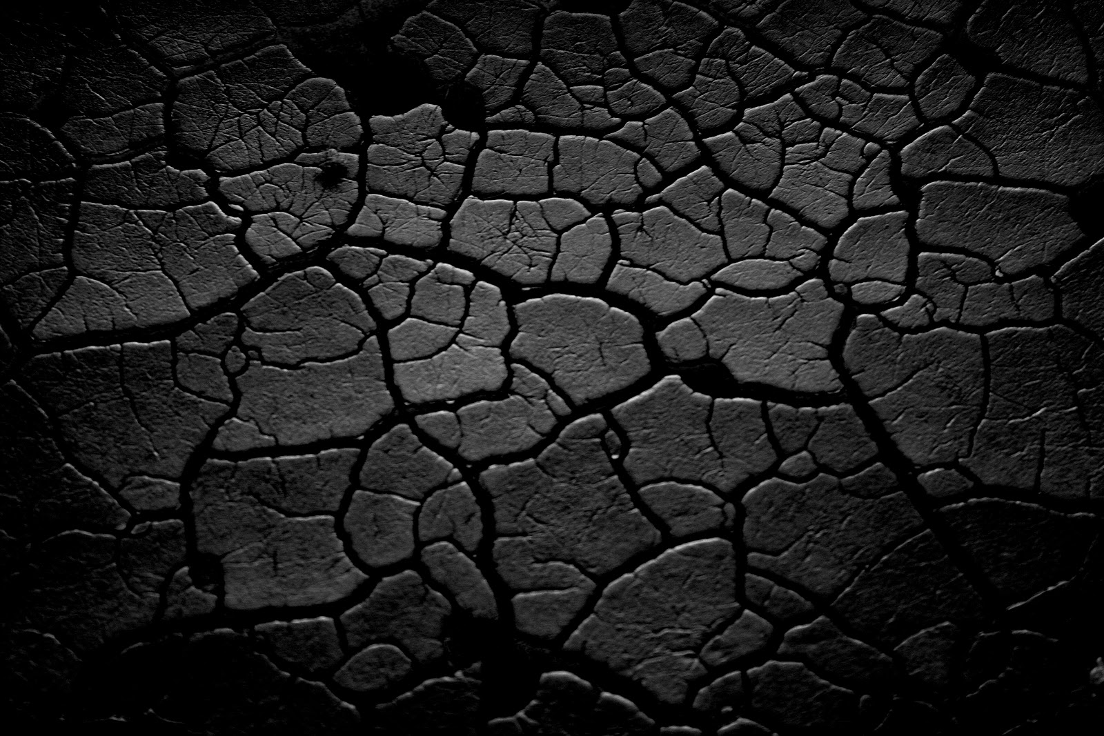 Black and White Photography Texture