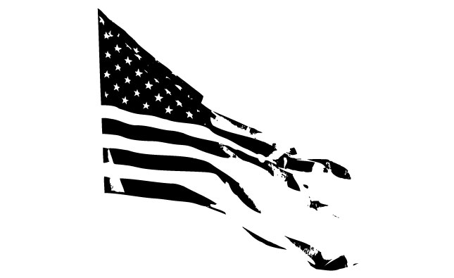 Black and White Tattered American Flag