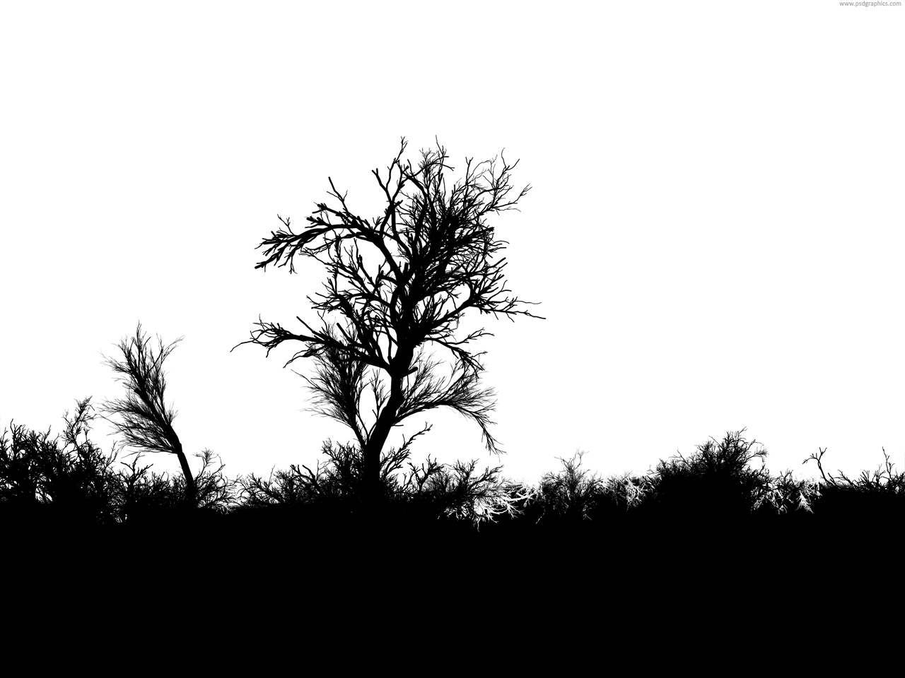 Black Forest Silhouette Black Forest Silhouette