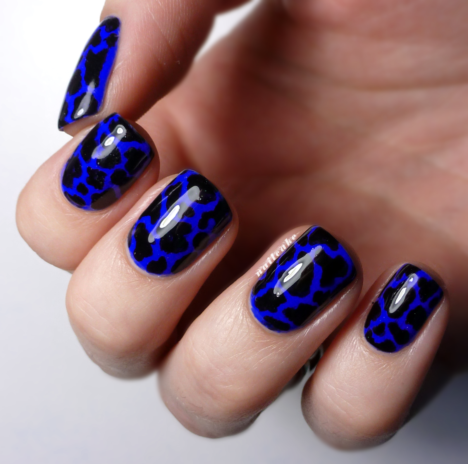 16 Blue And Black Nail Designs Images