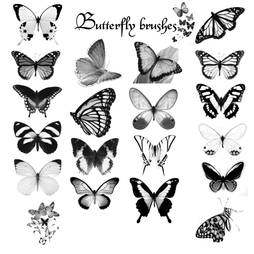 Butterfly Photoshop Brushes