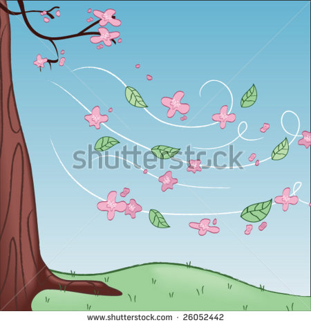 Cherry Blossom Cartoon