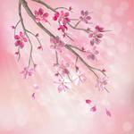 Cherry Blossom Tree Designs Cherry Blossom Tree Designs