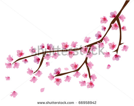 Cherry Blossoms Vector Graphics