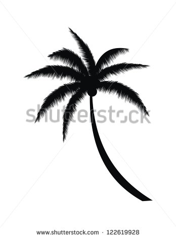 Coconut Palm Tree Silhouette