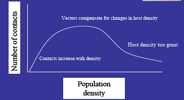 Density-Dependent Graph