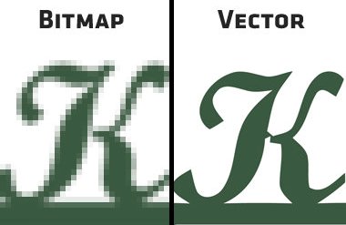 vector image vs raster image