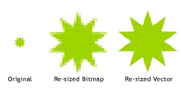 Difference Vector and Raster Graphics