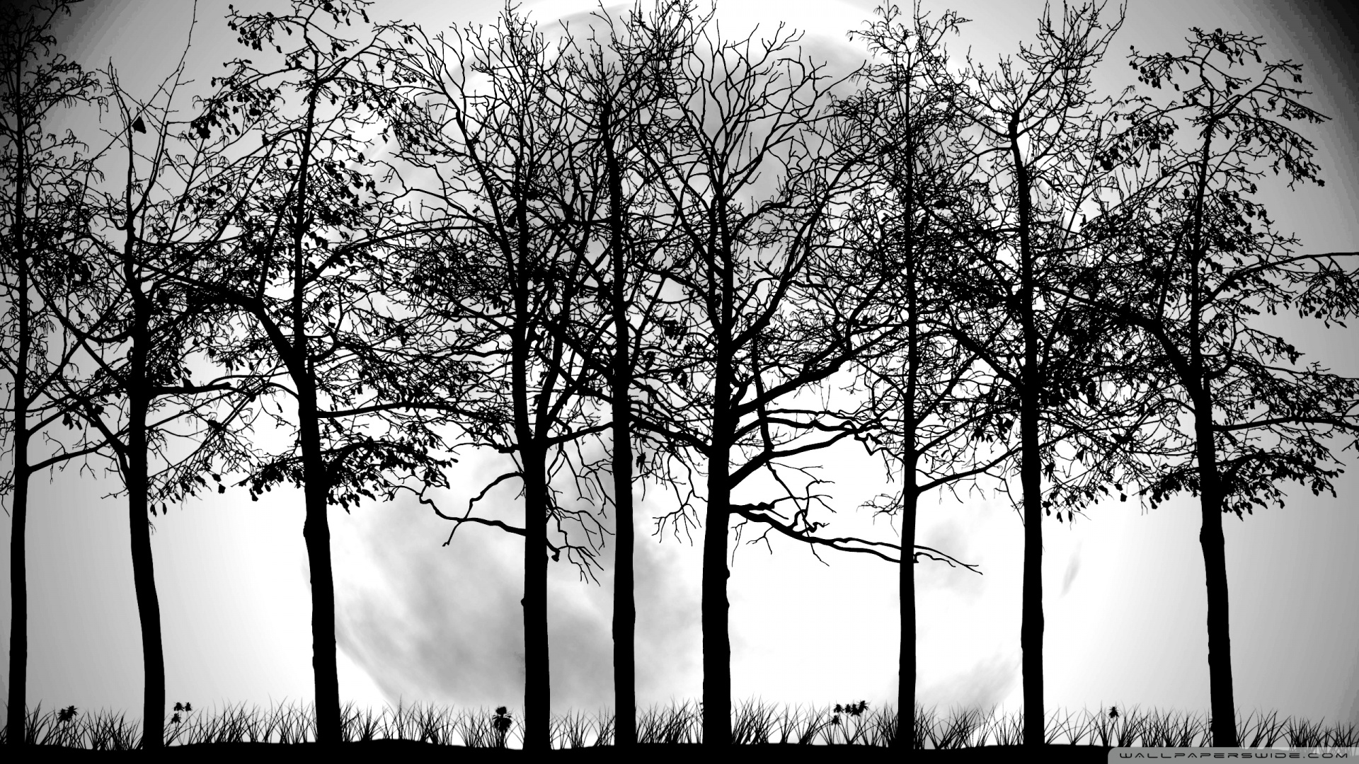 Forest Tree Silhouette Forest Tree Silhouette