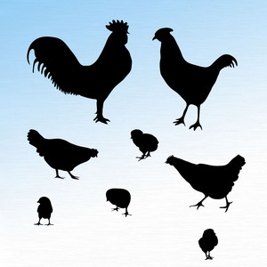 Free Photoshop Custom Shapes Free Photoshop Custom Shapes