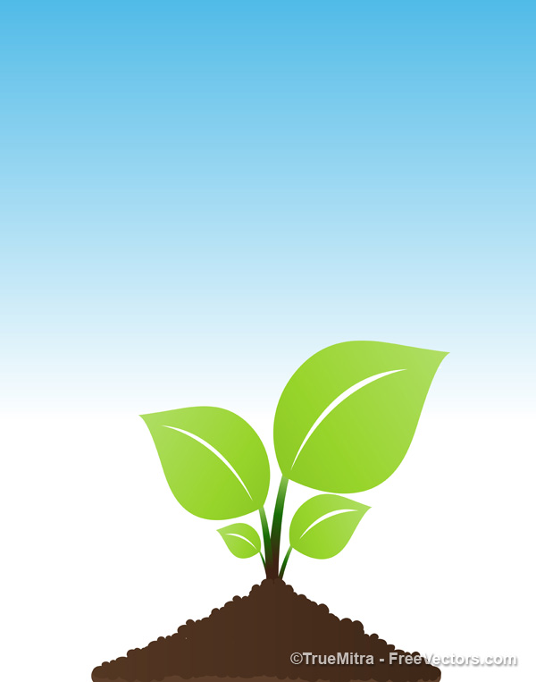 new plant clip art - photo #43