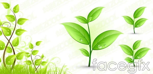 Free Plant Vector Graphics