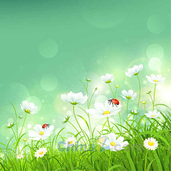 Free Vector Spring Flowers