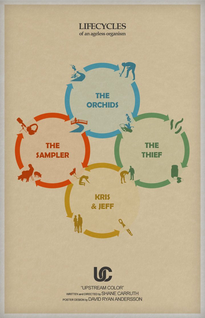 Infographic Upstream Color