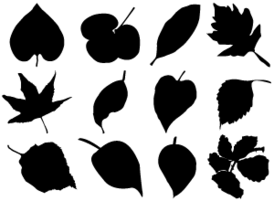 Leaves Silhouette Vector Free