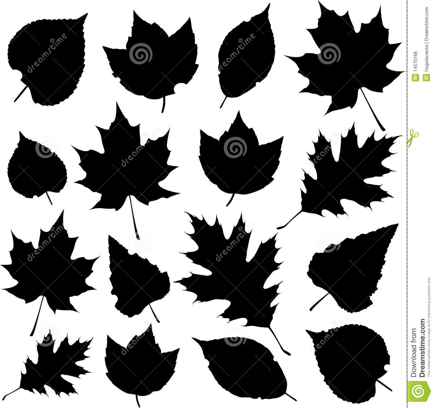 Maple Leaf Silhouette Vector