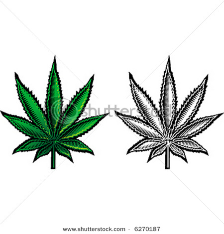 Marijuana Leaf Black and White