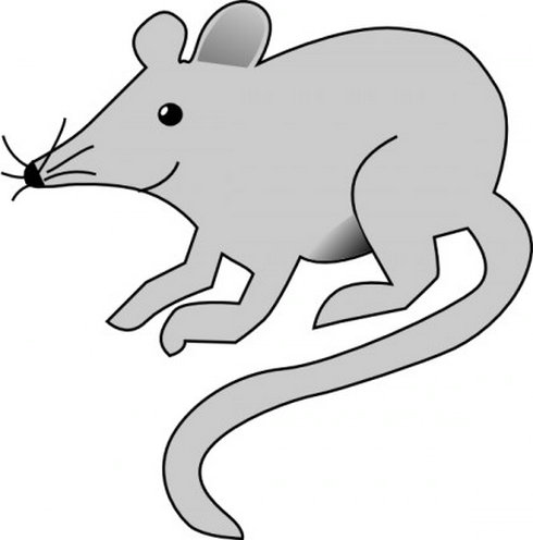 Mouse Vector Clip Art