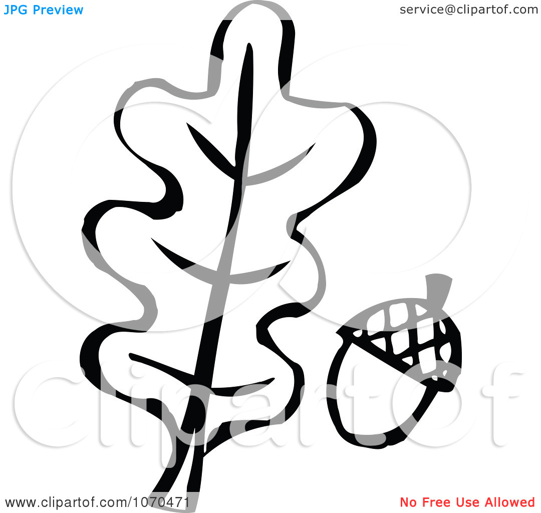 Oak Leaf Clip Art Black and White