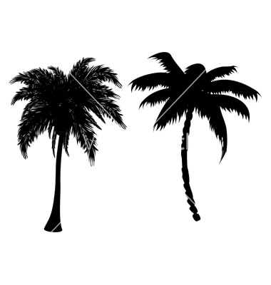 Palm Tree Silhouette Vector