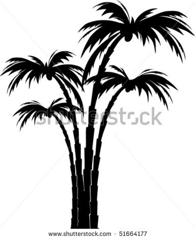 Palm Tree Silhouette Vector