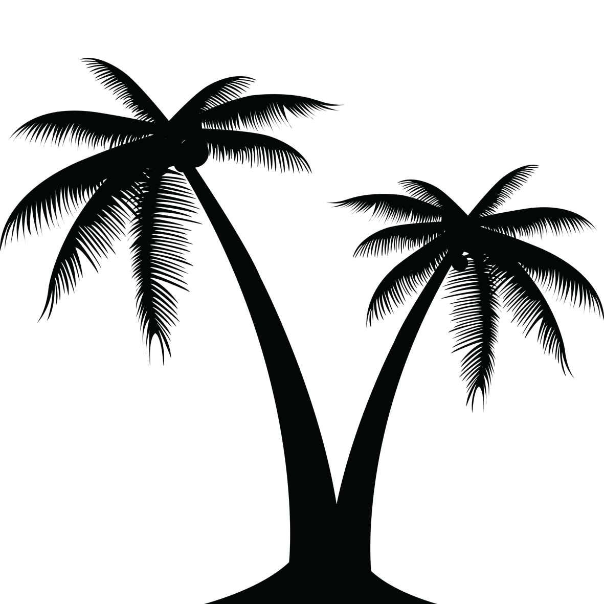 Palm Tree Silhouette Vector