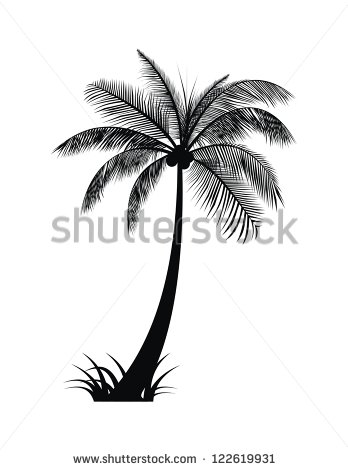 Palm Tree Silhouette Vector